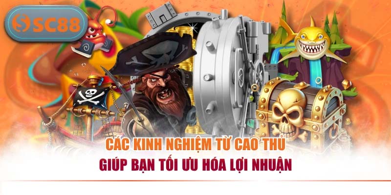 Các kinh nghiệm từ cao thủ giúp bạn tối ưu hóa lợi nhuận